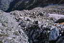 Massif des crins - Vallon des tages