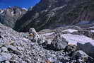 Massif des crins - Vallon des tages