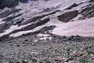 Massif des crins - Vallon des tages