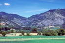 Haute Provence - Haute Bléone - Environs de la Javie (vers 800 m)