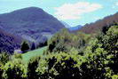 Haute Provence - Haute Bléone - Vallée de l'Arigéol - Le Labouret