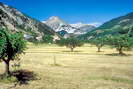 Haute Provence - Haute Blone - Prads-Haute-Blone (1036 m) - La Frache