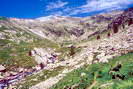 Haute Provence - Haute Blone - Haute valle - Le cirque (vers 2000 m) et la Tte de l'Estrop (2961 m)