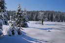 Jura - Chapelle-des-Bois (1080 m)