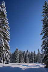 Jura - Chapelle-des-Bois