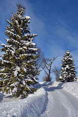 Jura - Chapelle-des-Bois