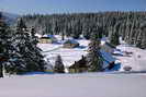 Jura - Chapelle-des-Bois (1080 m) - Les Mortes