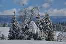 Jura - Chapelle-des-Bois (1080 m)