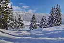 Jura - Chapelle-des-Bois (1080 m)