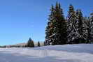 Jura - Chapelle-des-Bois (1080 m)