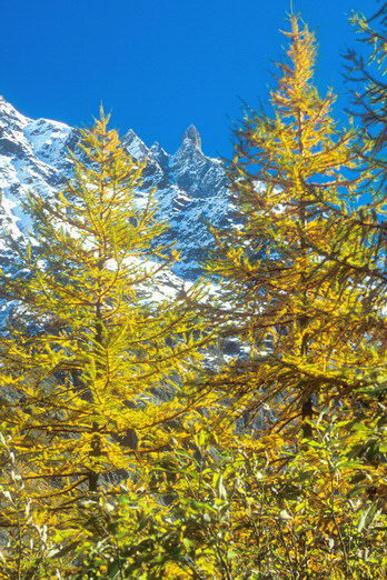 La Vallouise - Pr� de Madame Carle - Clocher de Clouzis (3338 m)