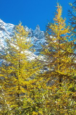 La Vallouise - Pré de Madame Carle - Clocher de Clouzis (3338 m) 