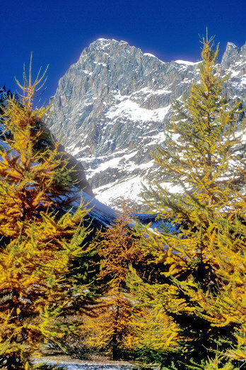 La Vallouise - Pr� de Madame Carle - Barre des Ecrins (4102 m)