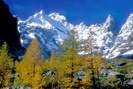 La Vallouise - Pré de Madame Carle - Pic Coolidge (3775 m) - Le Fifre (3699 m)