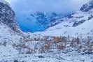 La Vallouise - Pré de Madame Carle - Glacier Noir