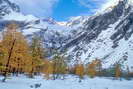 La Vallouise - Pré de Madame Carle - Glacier Blanc