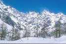 La Vallouise - Pré de Madame Carle - Le Ban - Les Barres (4102 m) - Les chamois font la soupe !