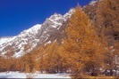 La Vallouise - Vallon de Saint-Pierre