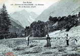 La Vallouise - Vallée de l'Onde - Moisson dans les années 1900 