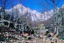 La Vallouise - Vallée de l'Onde - Les Fauries (1600 m) - Vestiges de cabanes - Groupe central