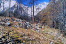 La Vallouise - Vallée de l'Onde - Les Fauries (1600 m) - Vestiges de cabanes et chemin vers l'amont