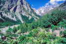 La Vallouise - Vallée de l'Onde - Entre les Aygues (1624 m)