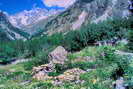 La Vallouise - Vallée de l'Onde - Entre les Aygues (1624 m)