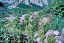 La Vallouise - Vallée de l'Onde - Entre les Aygues (1624 m) - Vestiges de cabanes