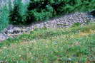 La Vallouise - Vallée de l'Onde - Entre les Aygues (1624 m) - Digue de protection