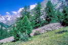 La Vallouise - Vallée de l'Onde - Entre les Aygues (1624 m) - Digue de protection