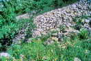 La Vallouise - Vallée de l'Onde - Entre les Aygues (1624 m) - Digue de protection