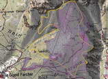 Parapin - Incendie de fin juillet 2003 - Carte de la zone prospectée (en violet)