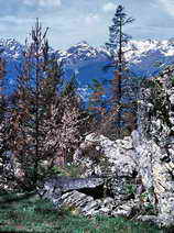 Parapin - Prospection archéologique, petite cabane contre rocher