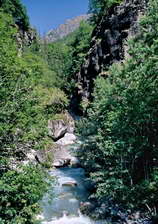 Pelvoux - Torrent d'Ailefroide aux Claux