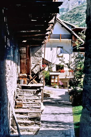 Chemin pi�tonnier pav�