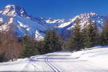 Puy-Saint-Vincent - Domaine nordique du Col de la Pousterle