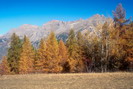 Puy-Saint-Vincent - Panorama des pistes - Massif de Montbrison et Cime de la Condamine (2940 m)