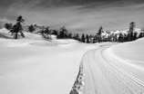 Puy-Saint-Vincent - Domaine nordique du Col de la Pousterle - Piste des T�tes