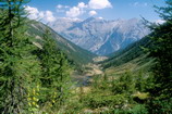 Puy-Saint-Vincent - Combe de Narreyroux