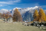 Puy-Saint-Vincent - Combe de Narreyroux
