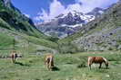 Vallon de la Selle - Pointes de Chanteloube (3161 m) et de Verdonne (3327 m)