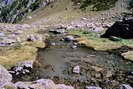 Vallon de la Selle - Le Jas Lacroix (1946 m) ou Jas de La Cru