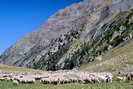 Vallon de la Selle - Alpage de la Selle