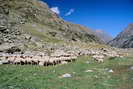 Vallon de la Selle - Alpage de la Selle