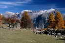 Puy-Saint-Vincent - Combe de Narreyroux