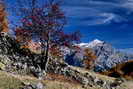 Puy-Saint-Vincent - Combe de Narreyroux