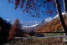 Puy-Saint-Vincent - Combe de Narreyroux