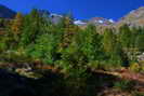 Puy-Saint-Vincent - Combe de Narreyroux