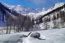 Puy-Saint-Vincent - Combe de Narreyroux