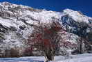 Pelvoux-Vallouise - Pic (2818 m) et Ttes (2815 m) de Montbrison